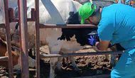 Konya'da tüm hayvanlar kapsamlı taramadan geçiyor!