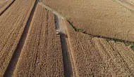 Türkiye tarımsal hasılada Avrupa 1'incisi oldu