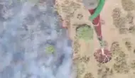 Balıkesir'de orman yangını