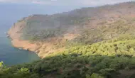 Muğla'da orman yangını ikinci gününde