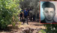 Zeytinlikte elleri arkadan bağlı cesedi bulundu