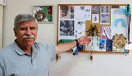 Profesör, keşfettiği sinek türüne ölen oğlunun adını verdi