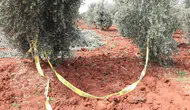Traktörden düşen çiftçi öldü