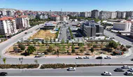 Şehir Hastanesi-Stadyum hattında ağaçlara özenli nakil