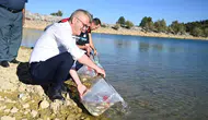 Seydişehir’de göllere 500 bin sazan yavrusu bırakıldı!