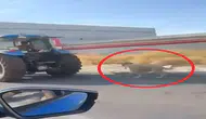 Köpeği traktöre iple bağlayıp koşturdu