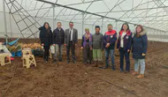 Konya'da hibe desteğiyle kurulan seralar üreticiye nefes aldırdı!