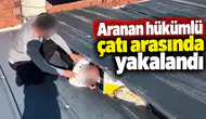 Aranan hükümlü çatı arasında yakalandı