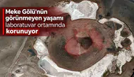 Meke Gölü'nün görünmeyen yaşamı laboratuvar ortamında korunuyor