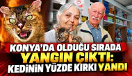Konya’da olduğu sırada yangın çıktı: Kedinin yüzde kırkı yandı