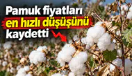 Pamuk fiyatları en hızlı düşüşünü kaydetti