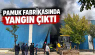 Pamuk fabrikasında yangın çıktı