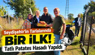Seydişehir’in Tarlalarında Bir İlk: Tatlı Patates Hasadı Yapıldı