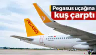 Pegasus uçağına kuş çarptı