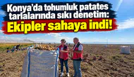 Konya’da tohumluk patates tarlalarında sıkı denetim: Ekipler sahaya indi!