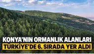 Konya'nın ormanlık alanları Türkiye’de 6. sırada yer aldı