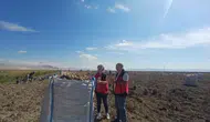 Konya’da tohumluk patates tarlalarında sıkı denetim: Ekipler sahaya indi!