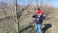 Konya'da eken baharda meyve bahçeleri denetlendi