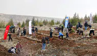 Konya'da 10 bin fidan toprakla buluşturuldu