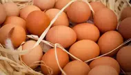 Yumurta, tavuk eti ve içme sütü üretimi azaldı