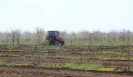 Konya'da bağ ve fidanlıklar yaza hazırlanıyor!