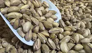 32,8 milyon dolarlık fıstık ihracatı