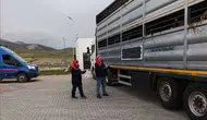 Konya'da kaçak hayvan sevkinde sıkı denetim!