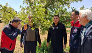 Konya’da meyve bahçeleri yakın takipte: Don riski denetleniyor!