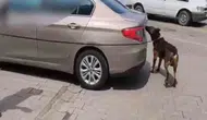 80 kilo uyuşturucu ele geçirildi; 3 tutuklama
