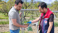 Konya'da üreticiyi koruyan hamle: Titiz çalışmalar başladı!