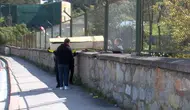 Ağaçlık alanda erkek cesedi bulundu