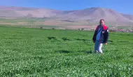 Konya’da süne alarmı! Ekipler sahaya indi!