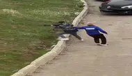 Sosyal medya hesabı açan eşine kızdı, kayınpederinin evine ateş etti