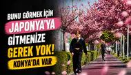 Bunu görmek için Japonya'ya gitmenize gerek yok! Konya'da var