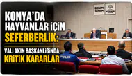 Konya’da hayvanlar için seferberlik