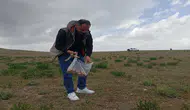 Dolaman mantarı sezonu başladı