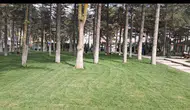 Konya'da yeşil kalbi olof palme parkı yenilendi