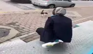 Kedinin yüzüne sprey sıkan kişi gözaltına alındı