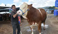 Kurban pazarının en büyüğü 'Haso Ağa', 480 bin TL'den satıldı