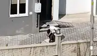 Sevgilisi tarafından darbedilen kadın, şikayetçi olmadı