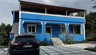 Yüzlerce arı aynı aileye saldırdı