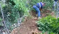 Jandarmadan baskını! 371 kök kenevir ele geçirildi