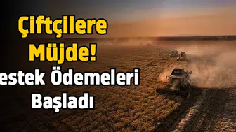Çiftçilere müjde! Destek ödemeleri başladı