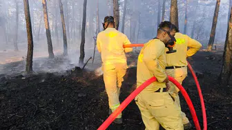 Bolu'da 8,5 saatlik mücadeleyle orman yangını söndürüldü