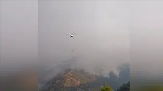 Orman yangınına havadan ve karadan müdehale sürüyor!