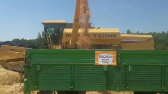 Konya buğdayları verimde yüzleri güldürdü!