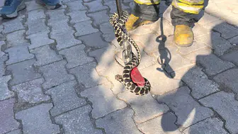 Kimse böyle bir şey beklemiyordu!