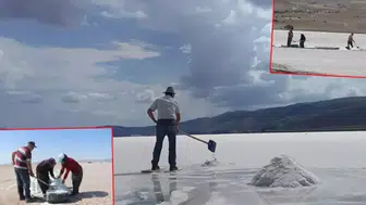 Tuz Gölü'nde geleneksel hasat başladı