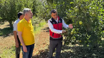Konyayı dolu vurdu: Müdürlük harekete geçti