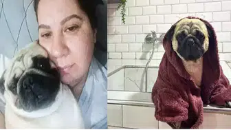 Pet otele bıraktığı köpeği öldü